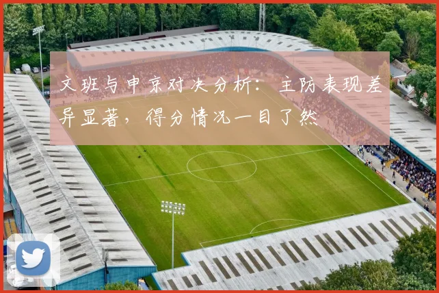 文班与申京对决分析：主防表现差异显著，得分情况一目了然